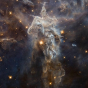 trans-boy-mutt avatar