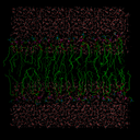 trans-conformational-isomer avatar