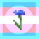 trans-cornflower avatar