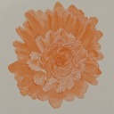 trans-fuckery avatar