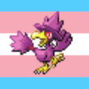 trans-girl-corvid avatar