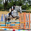 trans-horseman-blog avatar