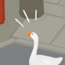 trans-jay-walker avatar