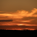 trans-man-with-no-plan avatar