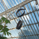 trans-masc-blues avatar