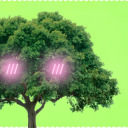 trans-oaktree-mlm avatar