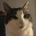 trans-reynolds-woodcock avatar