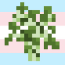 trans-sapling avatar