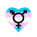 trans-validation avatar