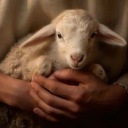 trans-witch-cauldron avatar