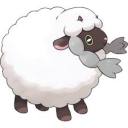 trans-wooloo avatar