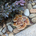 transappreciation101 avatar