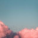 transastralog avatar