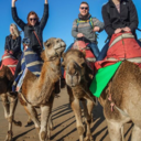 transcendedhope avatar