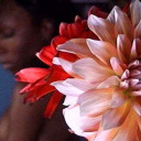 transcendentalvenus avatar