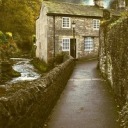 transcendentsyndra avatar