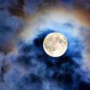 transcendstudy avatar