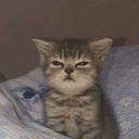 transchaoswizard avatar