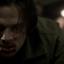 transchesters avatar