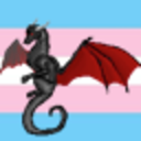 transdragonn-blog avatar