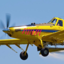 transdustycrophopper avatar