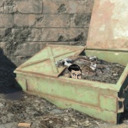 transfemininemaxson avatar