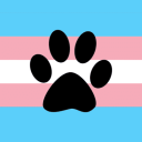 transfemme-shelterdog avatar