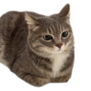 transfiguredsouls avatar