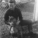 transfixmagazine avatar