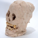 transform8ion avatar