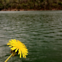 transformertgc avatar