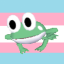 transgayfrog avatar