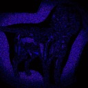 transgendergrapeson avatar