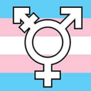 transgendertransformations avatar