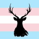 transhanniday avatar