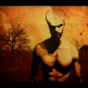 transideracoes avatar