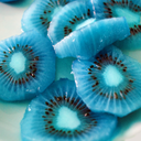 transient-memories avatar