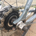 transientsentient avatar