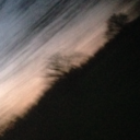 translifetoday avatar