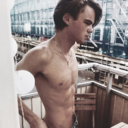 transluscentdreams avatar