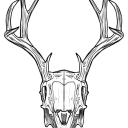 transmanmothman avatar