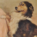 transmascanakin avatar