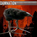 transmascarchive avatar