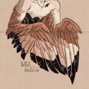 transmascfaeburrow avatar