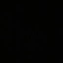 transmascraccoon avatar