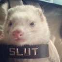 transmascslutboy avatar