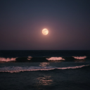 transmutes-into-love avatar