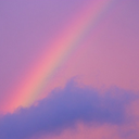 transparent-angel avatar