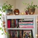 transparent-lavenderdreams avatar