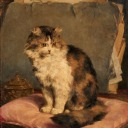 transparent-sparrow avatar